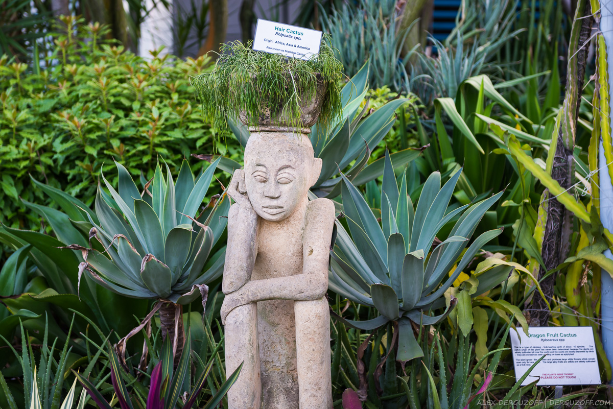 Скульптура в саду кактусов Чанги
